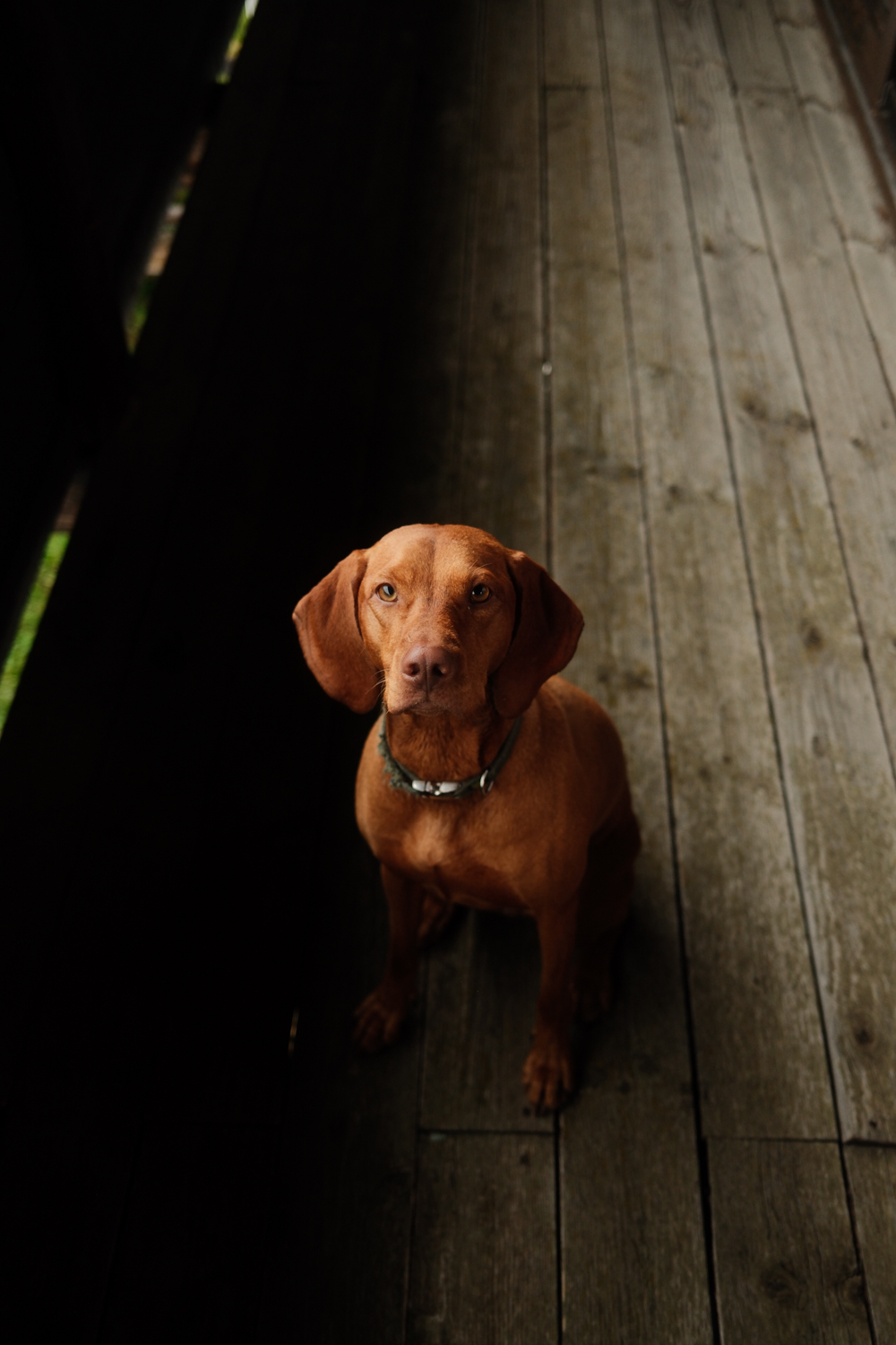 Пример рецепта