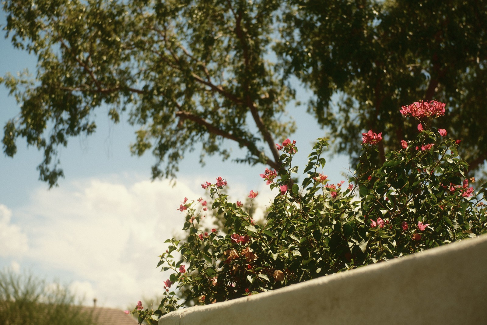 Пример рецепта